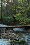 dsc_0116.jpg