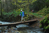 dsc_0118.jpg