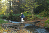 dsc_0132.jpg