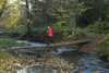 dsc_0134.jpg