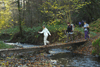 dsc_0139.jpg