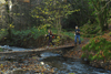 dsc_0142.jpg