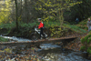 dsc_0146.jpg