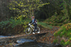 dsc_0154.jpg