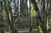 dsc_0158.jpg