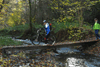 dsc_0175.jpg