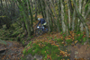 dsc_0184.jpg