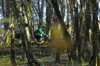 dsc_0196.jpg