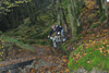dsc_0200.jpg