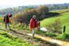 dsc_0337.jpg