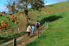 dsc_0351.jpg