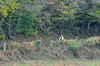 dsc_0491.jpg