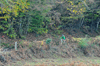 dsc_0492.jpg