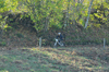 dsc_0511.jpg
