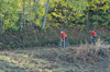 dsc_0519.jpg