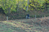 dsc_0521.jpg