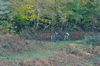 dsc_0523.jpg