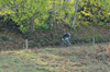 dsc_0532.jpg