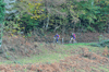 dsc_0537.jpg