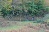 dsc_0539.jpg