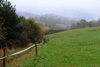 dsc_0135.jpg