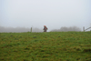dsc_0257.jpg