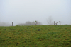 dsc_0261.jpg