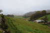 dsc_0382.jpg
