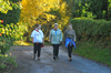 dsc_0196.jpg