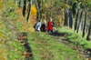 dsc_0205.jpg
