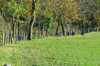 dsc_0207.jpg
