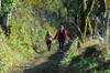 dsc_0216.jpg