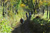 dsc_0217.jpg