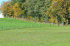 dsc_0236.jpg