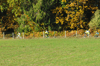 dsc_0248.jpg