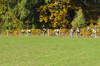 dsc_0249.jpg