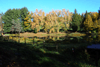 dsc_0262.jpg