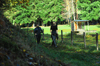 dsc_0264.jpg