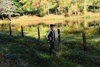 dsc_0269.jpg