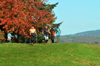 dsc_0282.jpg