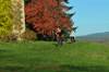 dsc_0288.jpg