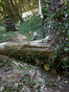 dsc_0005.jpg