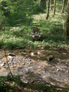 dsc_0011.jpg