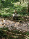 dsc_0012.jpg
