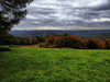 dsc_0032.jpg