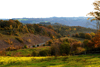dsc_0091.jpg