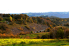 dsc_0092.jpg