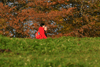 dsc_0094.jpg