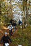 dsc_0245.jpg