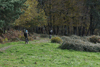 dsc_0270.jpg